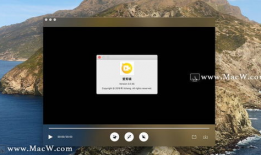 优质视频,揭秘优质视频背后的魅力与技巧